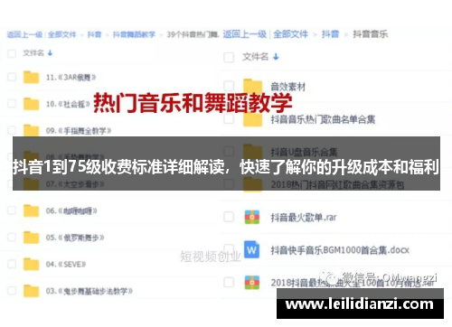 抖音1到75级收费标准详细解读，快速了解你的升级成本和福利